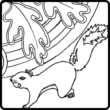 image of squirrel and oak leaves